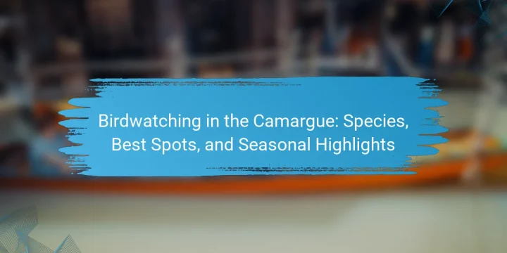 Birdwatching in the Camargue: Species, Best Spots, and Seasonal Highlights