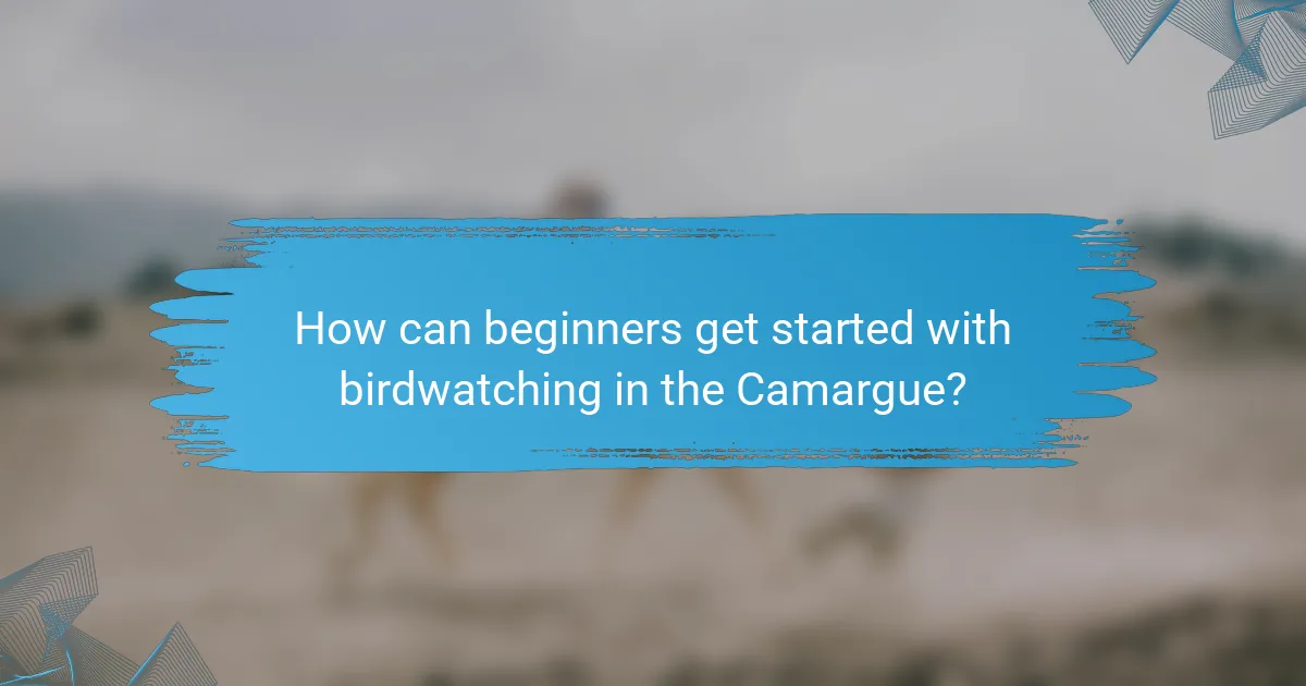 How can beginners get started with birdwatching in the Camargue?