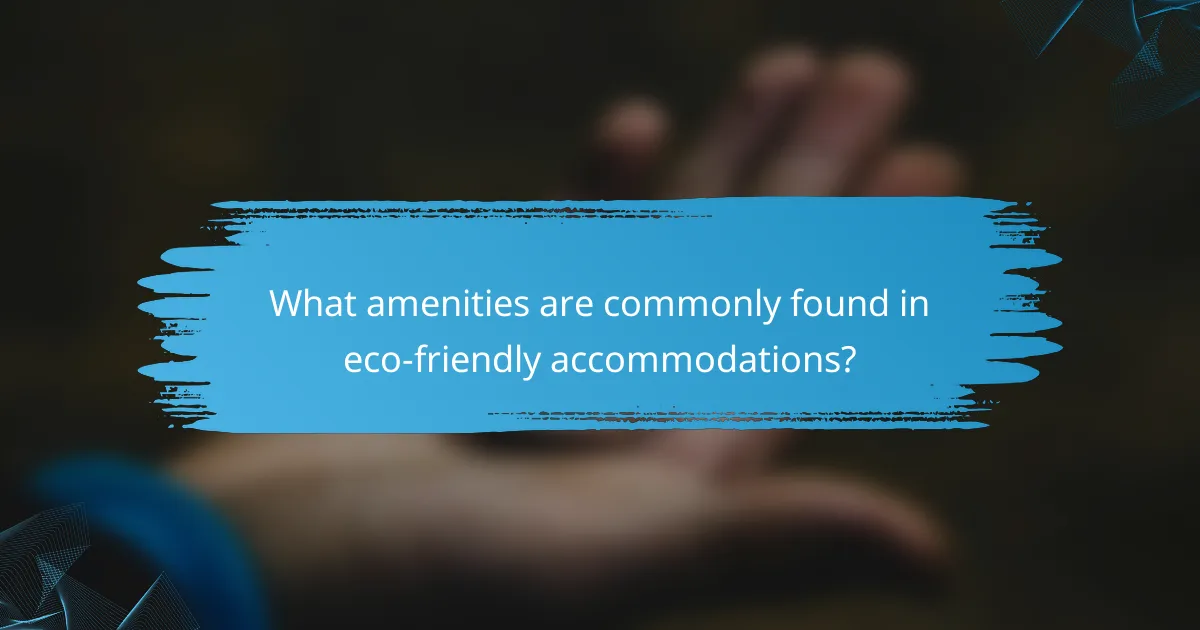 What amenities are commonly found in eco-friendly accommodations?