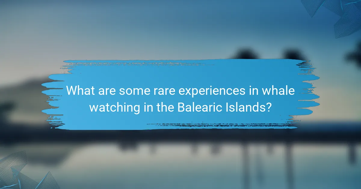 What are some rare experiences in whale watching in the Balearic Islands?