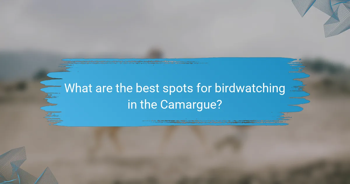 What are the best spots for birdwatching in the Camargue?