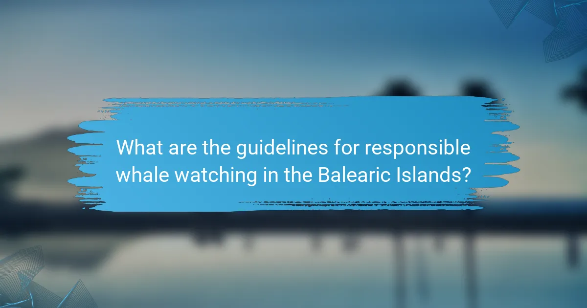 What are the guidelines for responsible whale watching in the Balearic Islands?