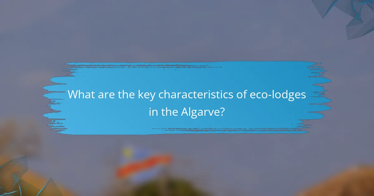 What are the key characteristics of eco-lodges in the Algarve?