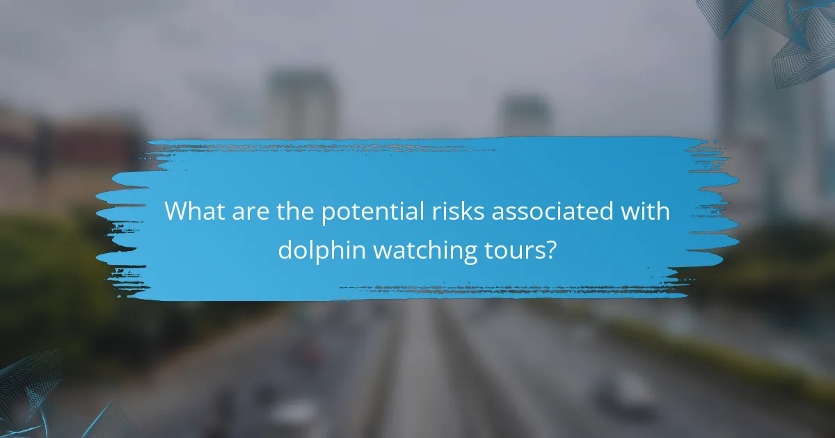 What are the potential risks associated with dolphin watching tours?