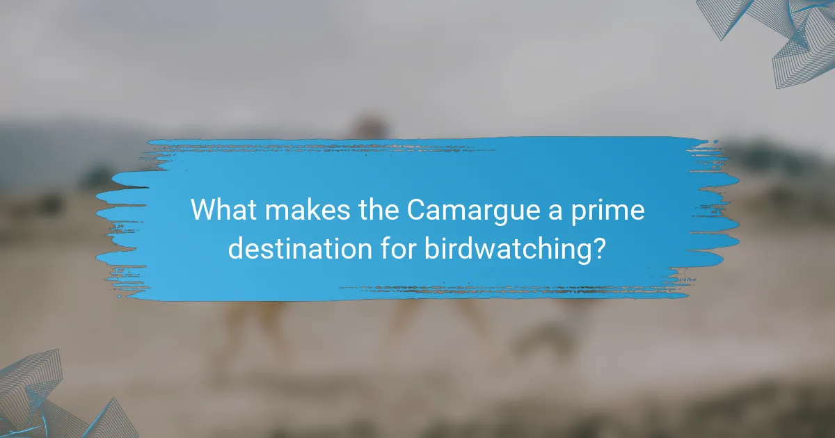 What makes the Camargue a prime destination for birdwatching?