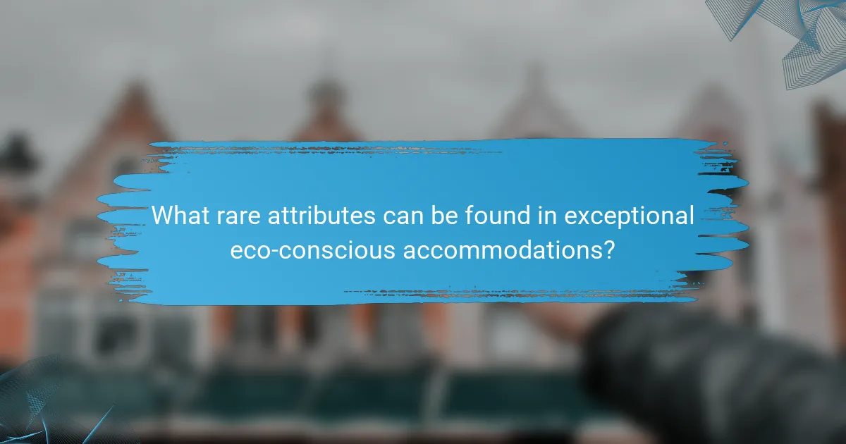 What rare attributes can be found in exceptional eco-conscious accommodations?