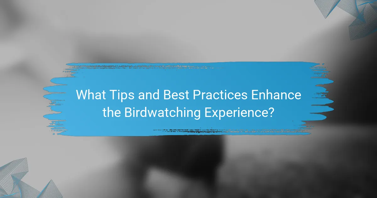 What Tips and Best Practices Enhance the Birdwatching Experience?