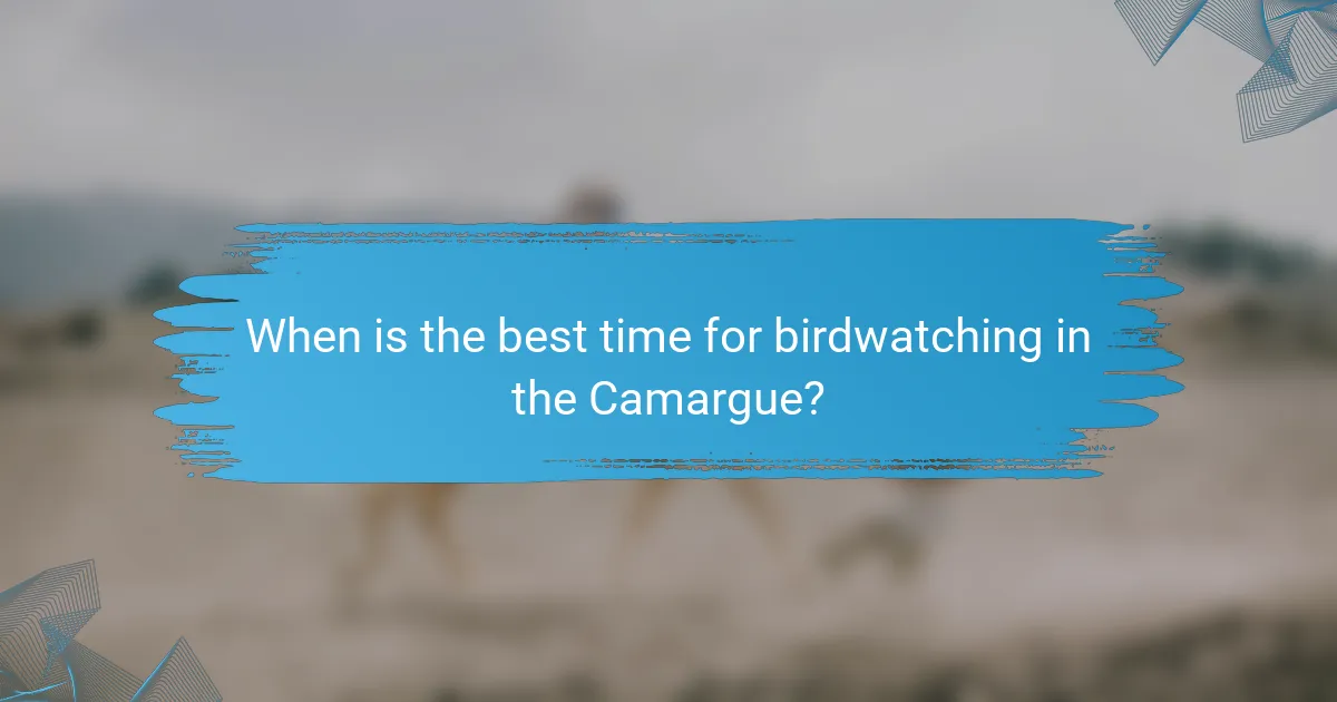 When is the best time for birdwatching in the Camargue?