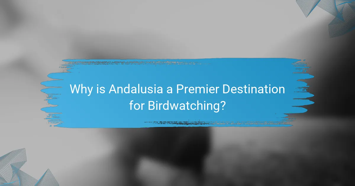 Why is Andalusia a Premier Destination for Birdwatching?
